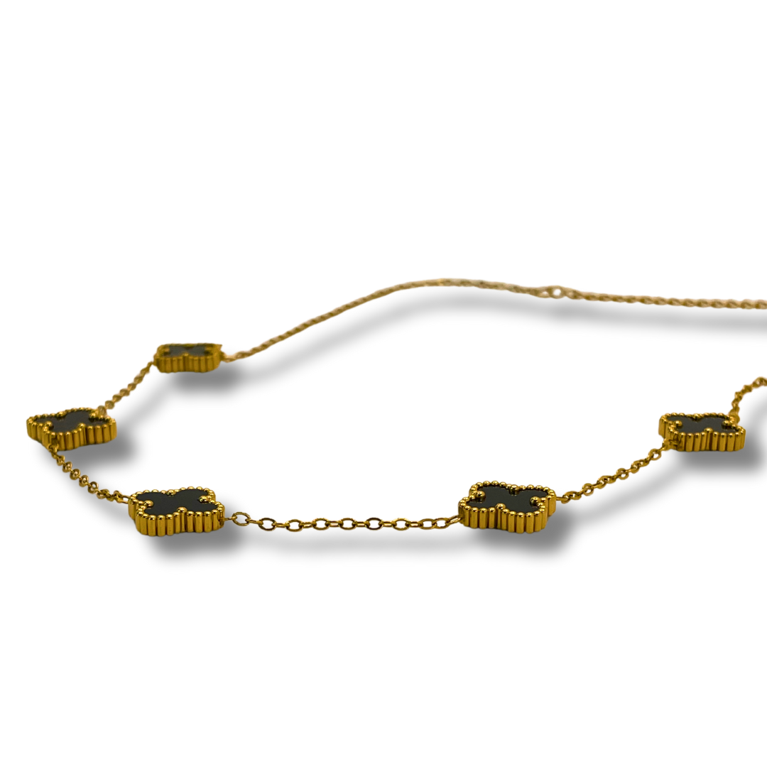 COLLAR REGNUM