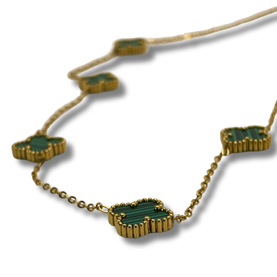 COLLAR REGNUM