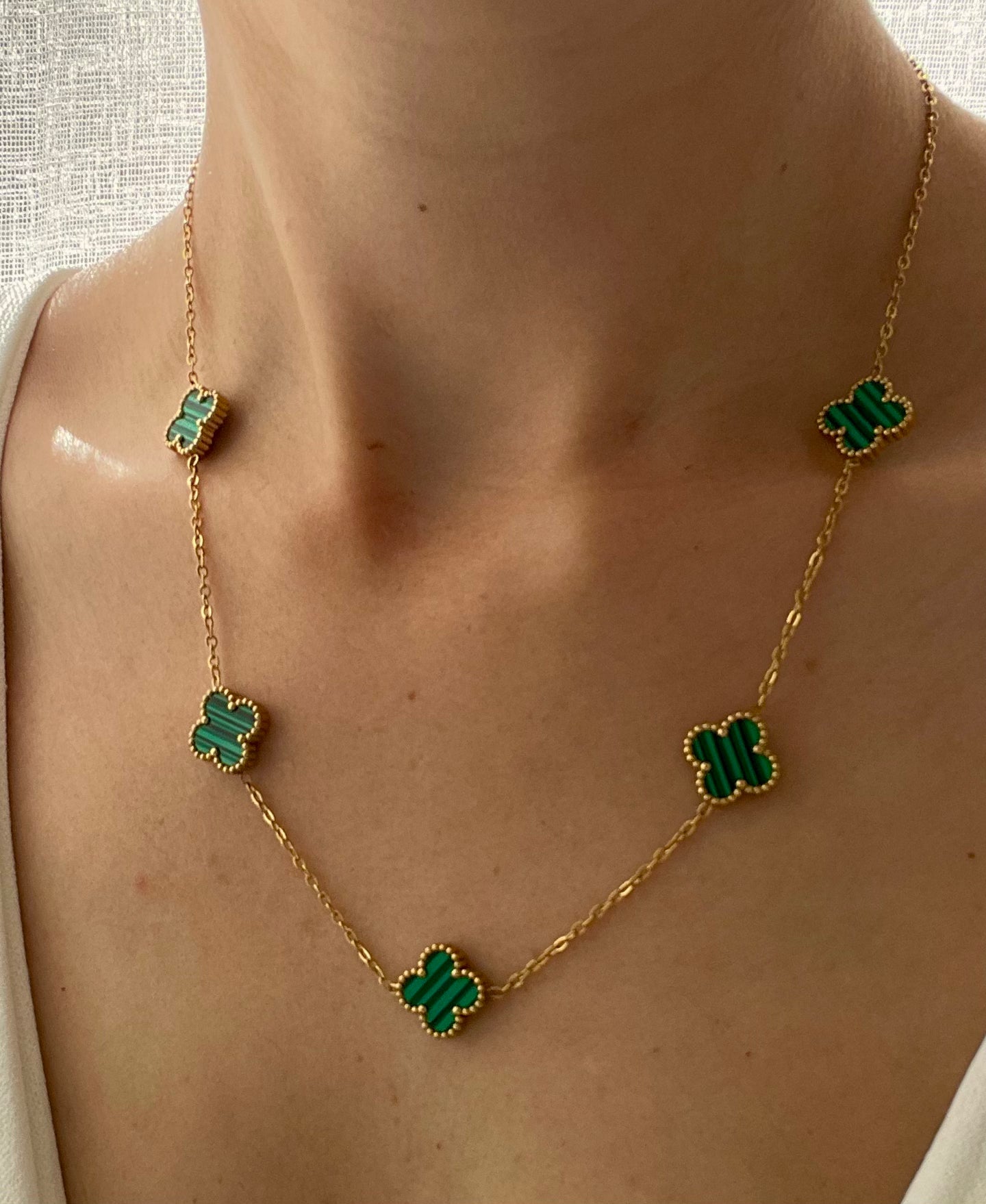COLLAR REGNUM